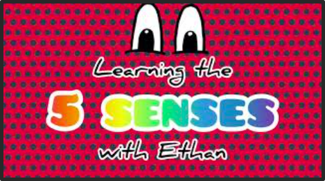 Learning the 5 senses